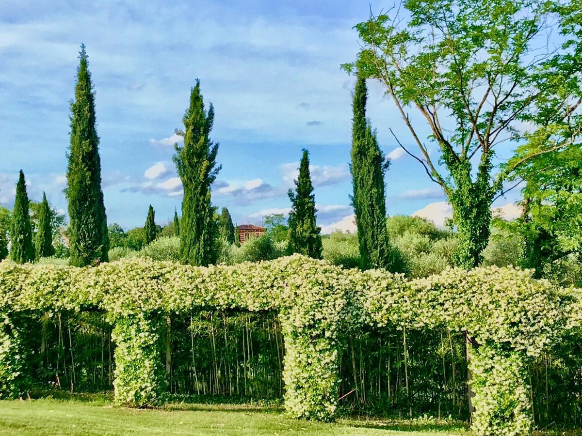 Agriturismo Antica Dimora Del Turco Sona Luaran gambar