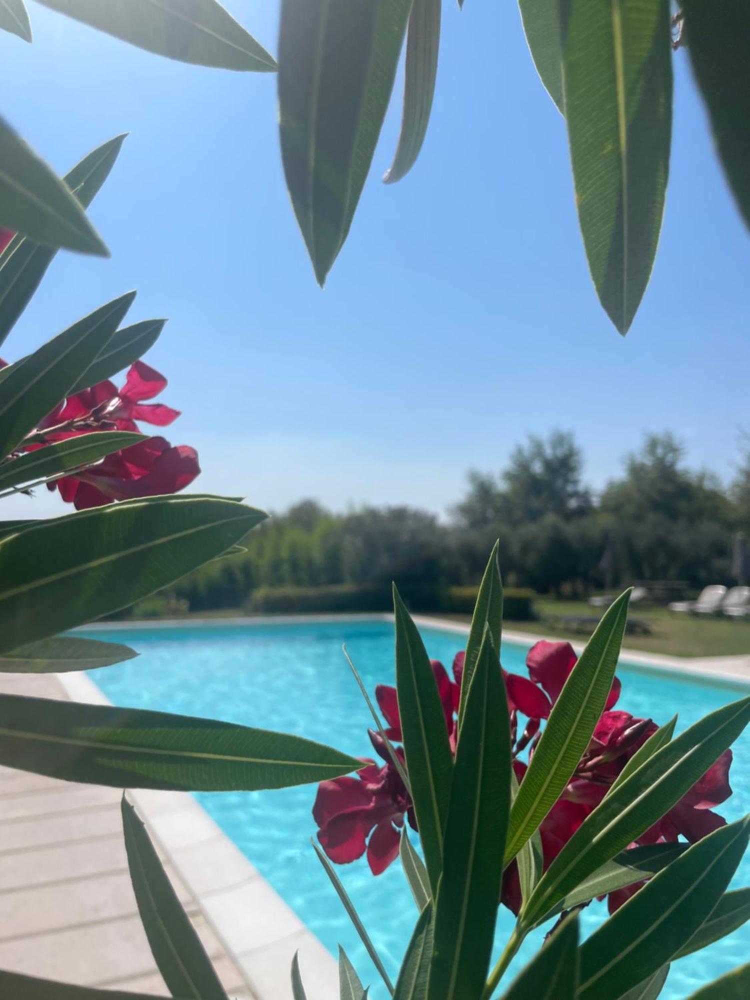 Agriturismo Antica Dimora Del Turco Sona Luaran gambar